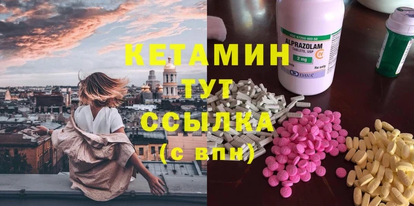 шишки Дмитриев