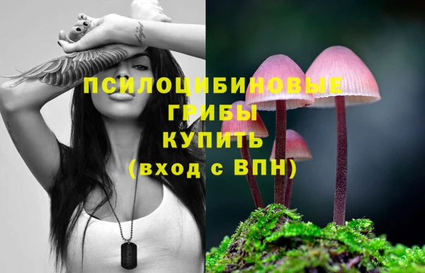первитин Зеленодольск